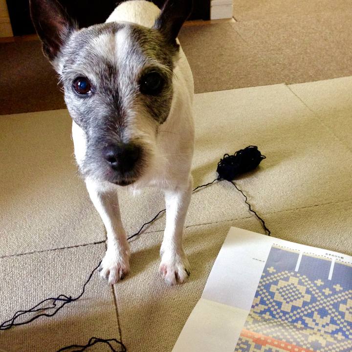 2bbff12a d450 428c 86b1 91c7b786a74d