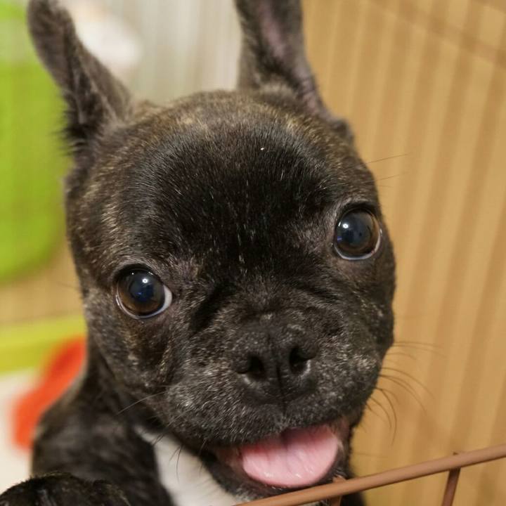 2bc04472 3b37 4a95 9753 d231f367658f