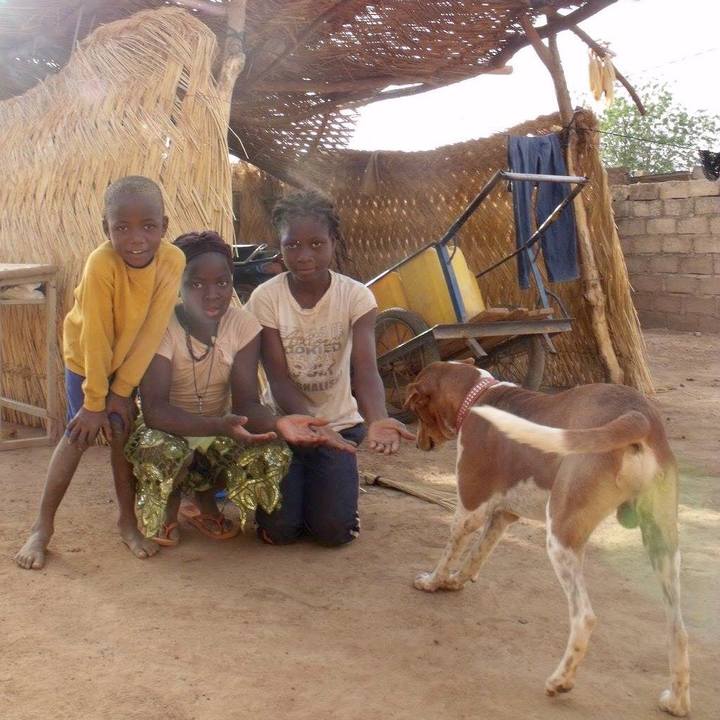 2bc06317 d011 4d34 8f53 1c4c7aab97c4