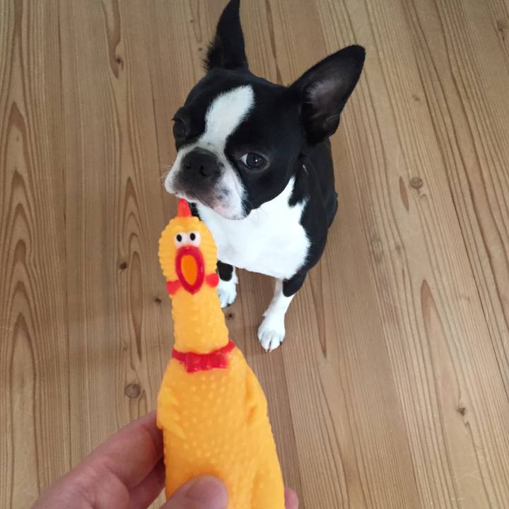 2bc1cb40 bb2a 47f2 ae2e 580f714f3286