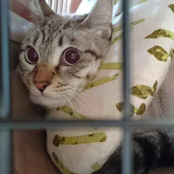 2bc27c11 7ce2 492e ba04 b497e7ca9f48