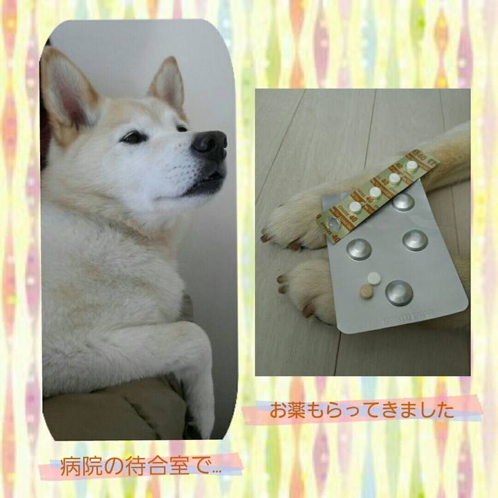 2bc33f74 ebf2 480a 80a9 67c8bd13f12d