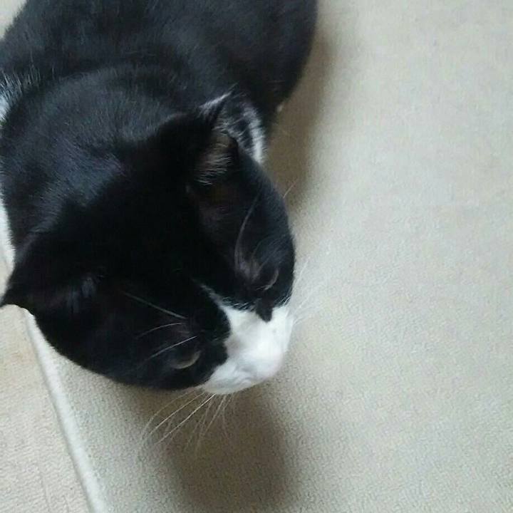 2bc39df9 a5fd 46a6 a779 87779095b8a3