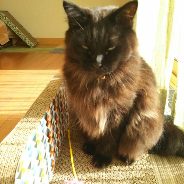 2bc412fb ad45 48c7 832a 7a4f9a71e7a9