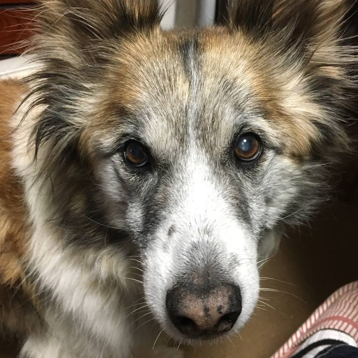 2bc454b8 0800 400c b421 b3ca7340d430