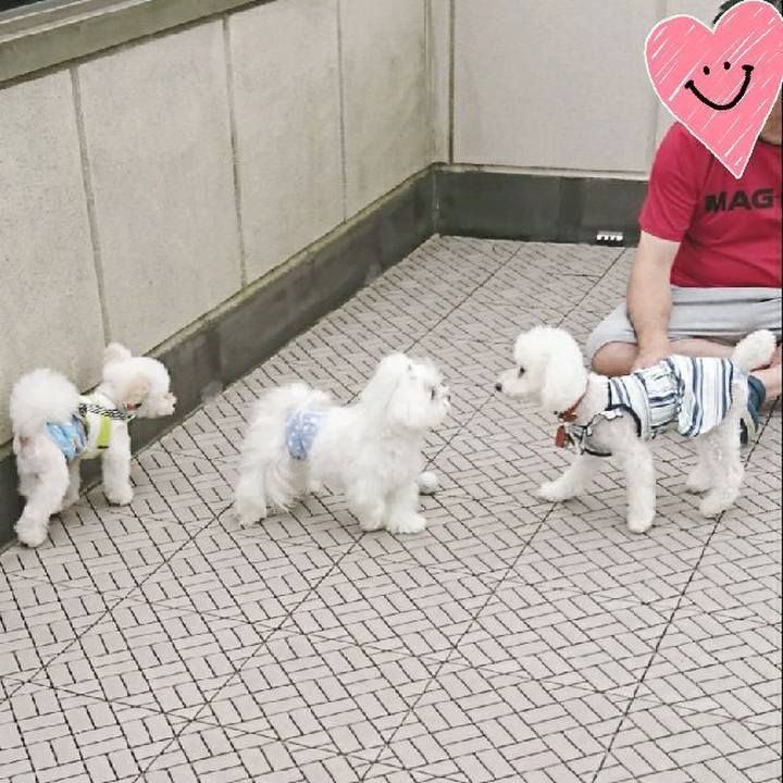 2bc46efe 1345 4ca4 bda4 ee02103b0f26