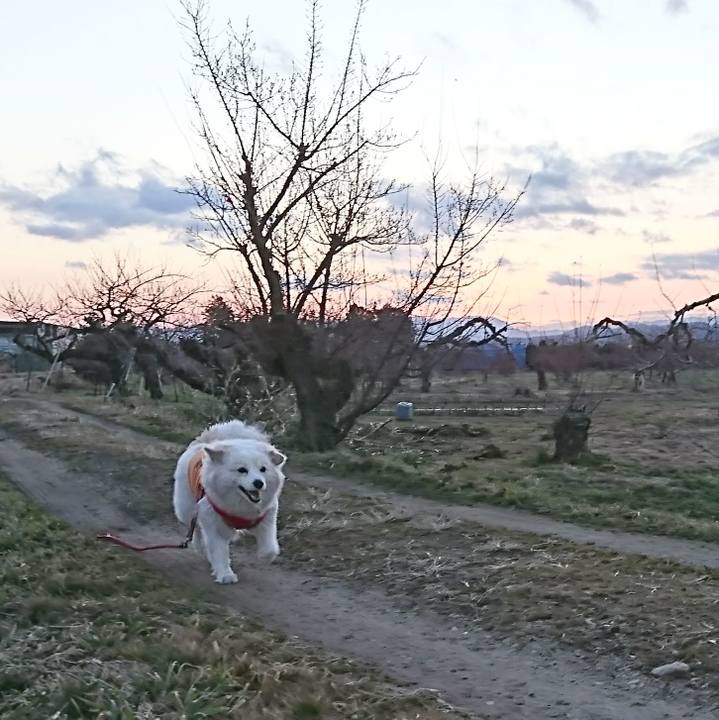 2bc59ab2 89e1 490f b814 3c1cbd157dd0