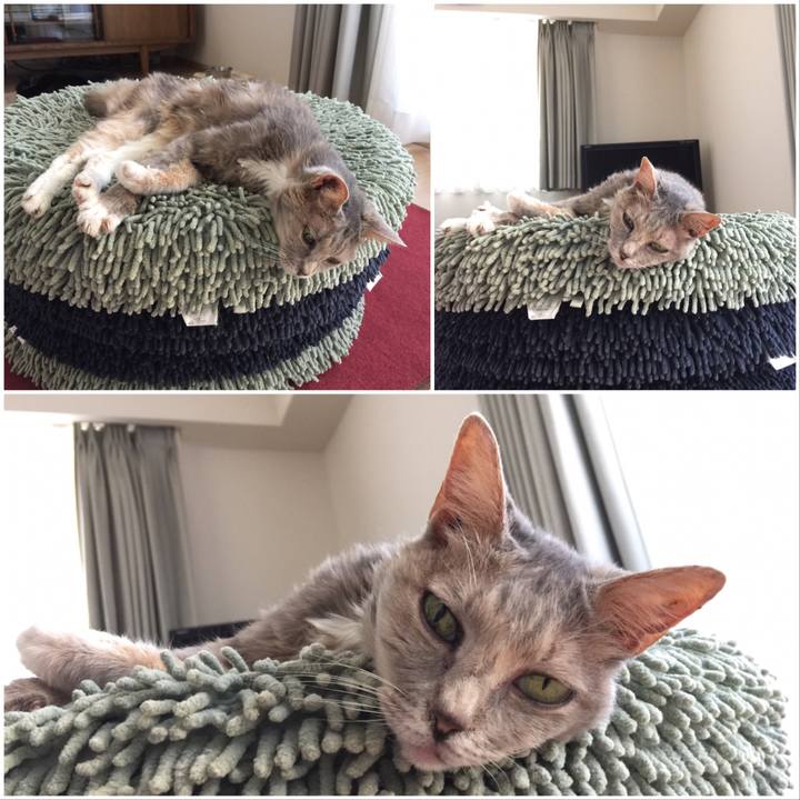 2bc65f07 d0e5 45ae af96 4c9962c6069b