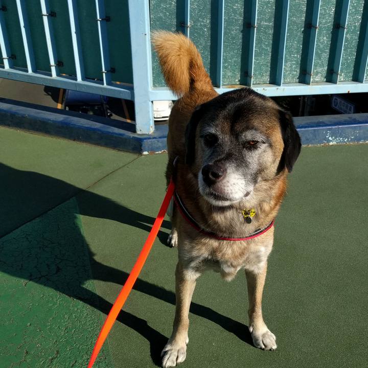 2bc66ae5 94fd 4eb2 9342 2f17b497366b