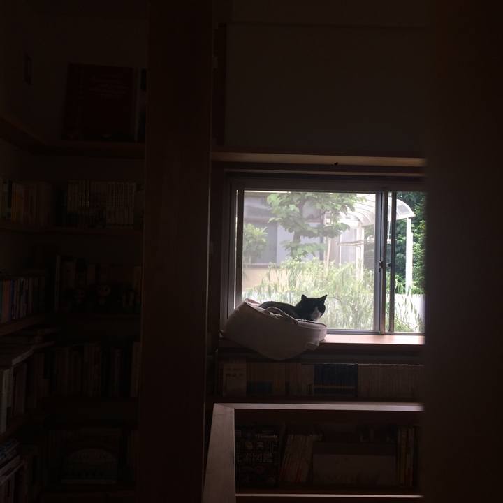 2bc6dd16 40fa 4ac9 95a2 d2b8addcc311