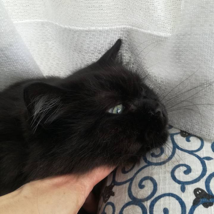 2bc77f56 7ed4 4759 b760 564f9edc13b1