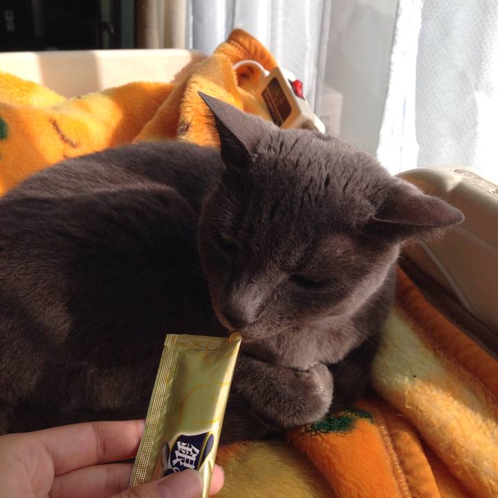 2bc7e17b a5a8 423e ace7 19f72c56c71f