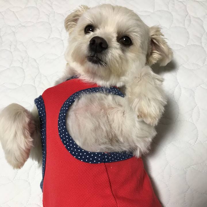 2bc802ba 61db 4653 909b 99cf2b4a782d