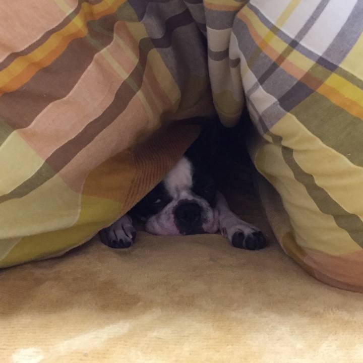 2bc82fe3 e8c7 4722 ad20 b50498227c30