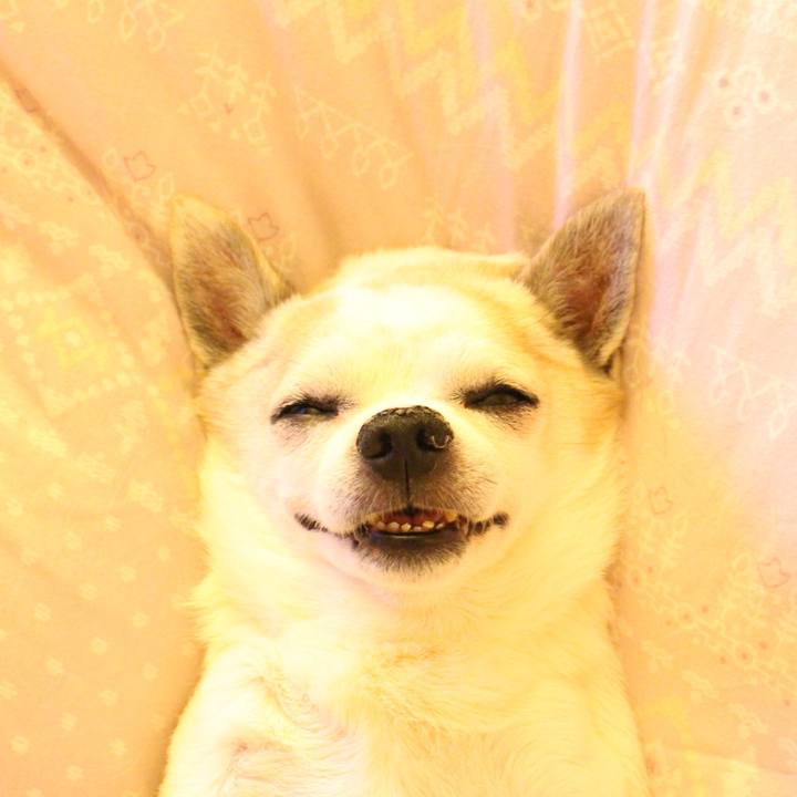 2bc842eb b47c 432d 8ab9 95ffe972ddef