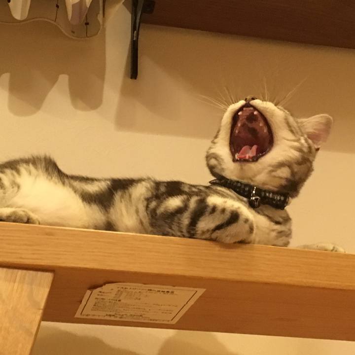 2bc9a90a 2051 485b 8e92 dc12d4d3ba55