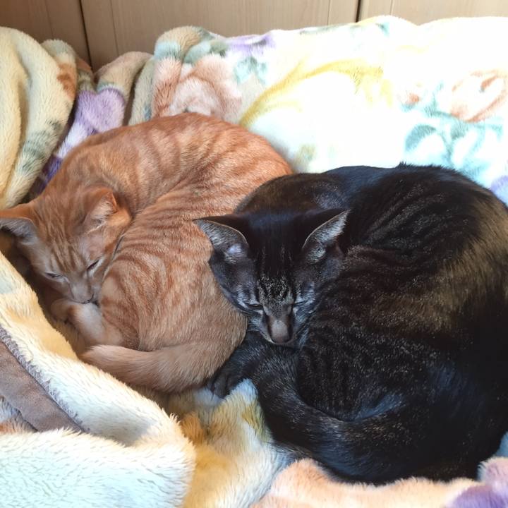 2bca9569 6f80 4baa 864e b947c919a9ca