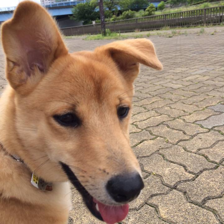 2bca9f04 97de 4df0 a999 a8c442675a62