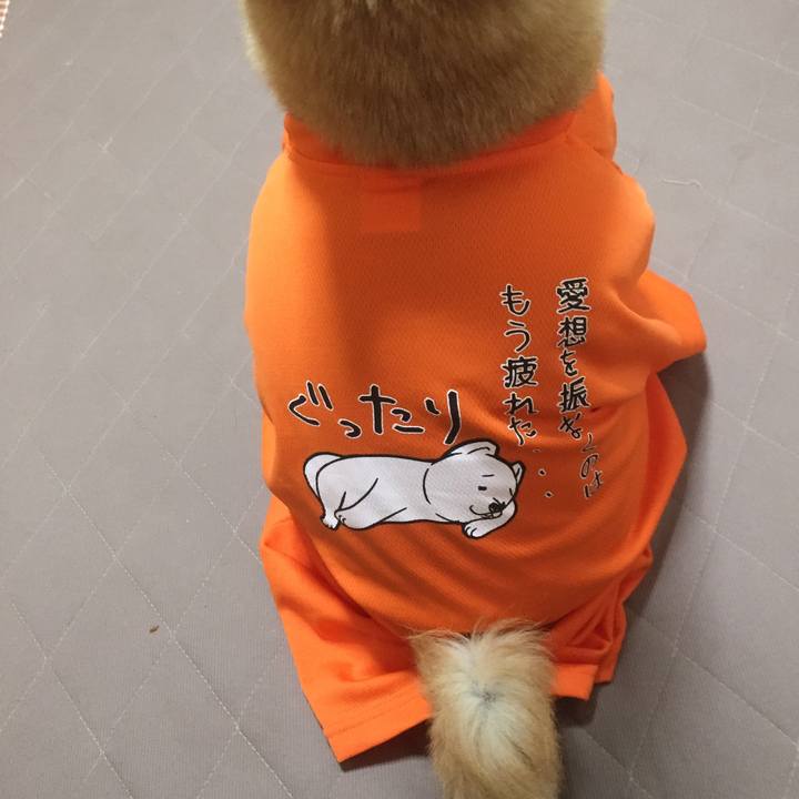 2bcaf58b 1623 4efd a15b 008fe07306d9