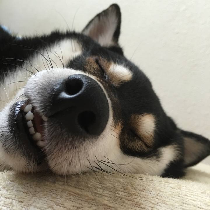 2bcb347a 1ab8 445f 8ee3 eaf428561e0e