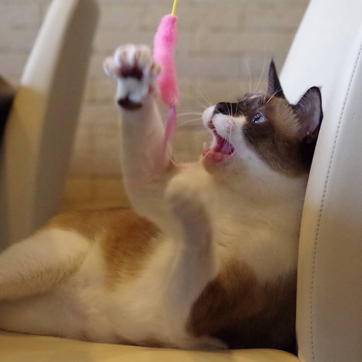 2bcb378b 8982 4d60 ae02 91759c2aa812