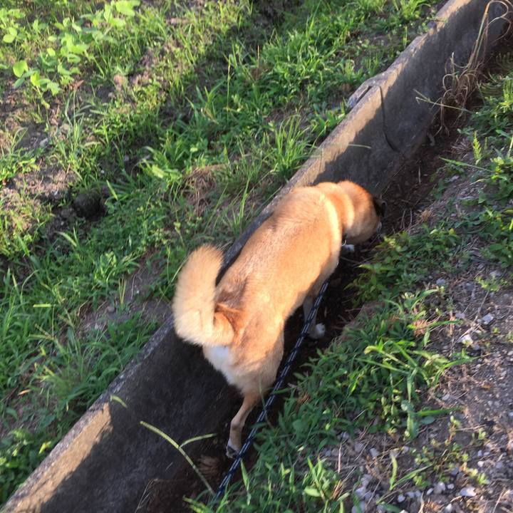 2bcb41b4 4e17 4ec2 b6ec ea334bac6202