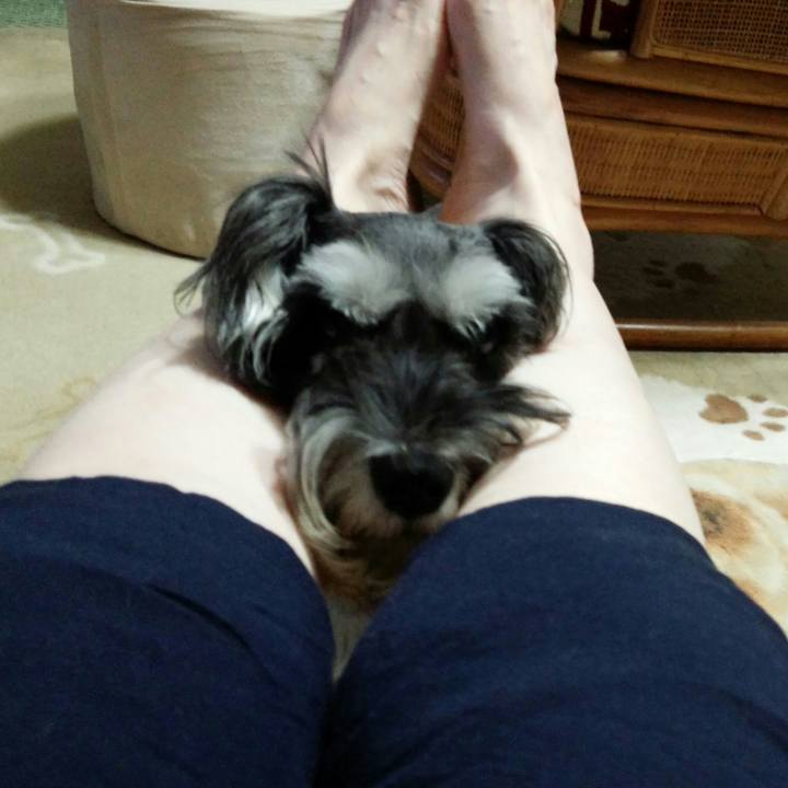 2bcb65f4 2bad 4bc7 8b97 b9f1df7d4a60