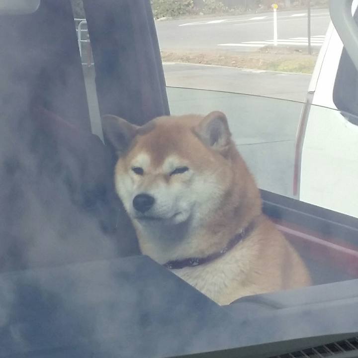 2bcb6a7c fc35 45df a62e 1b2c3c2a3faa