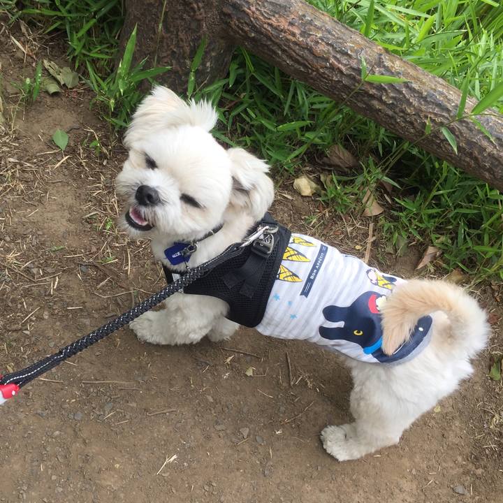 2bcbdb70 f909 43a9 8a5f 8c6a3d83a359