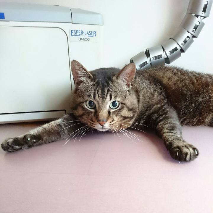 2bcc2863 30d9 41da 8cc1 9f854a8dc9f4