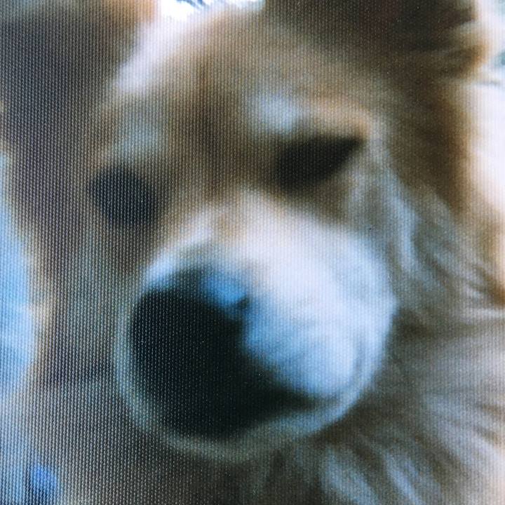 2bcd4225 ac8a 45ac a3b5 23a47683072b