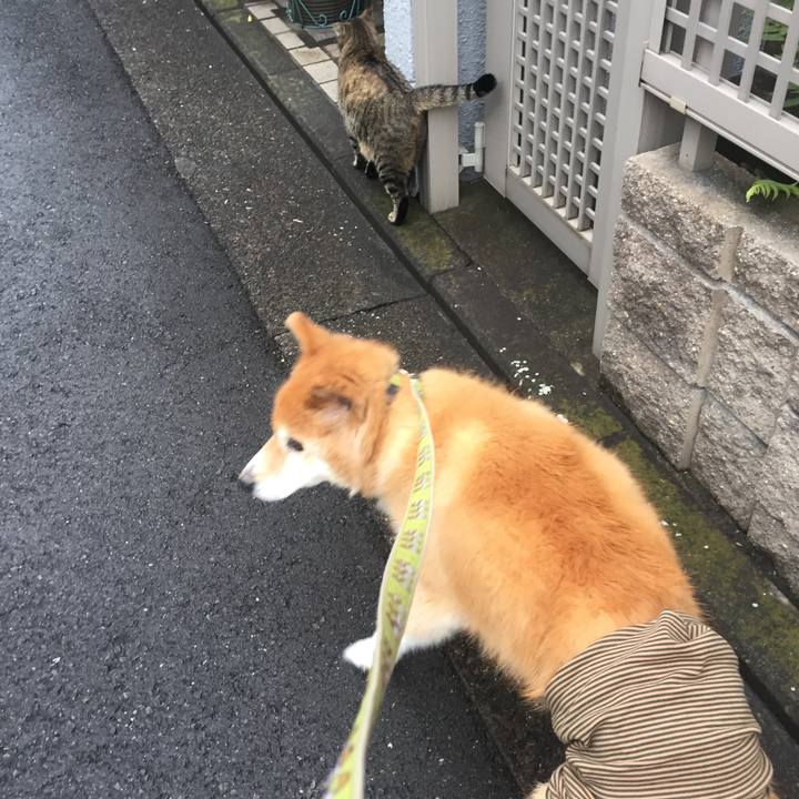 2bcd54a6 8792 492d a2d6 381bdf20a896