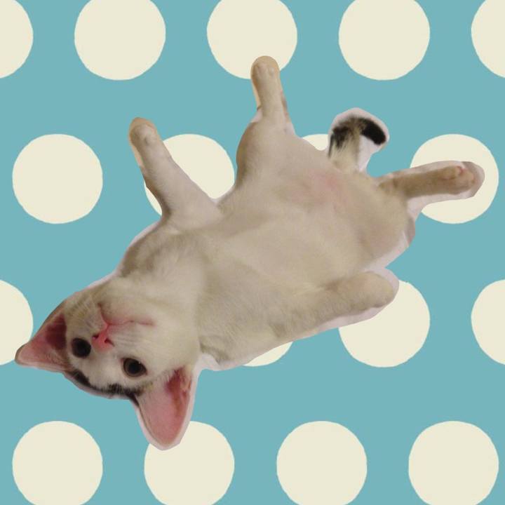 2bcd83f9 8775 4fef 8068 4da0c970f221