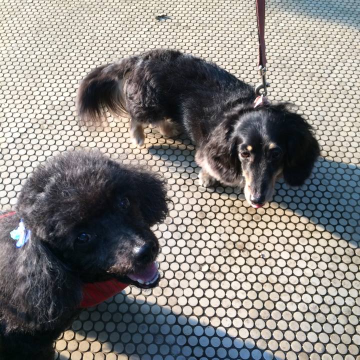 2bce5c08 c2ab 4265 a36a d5baf76a7fea