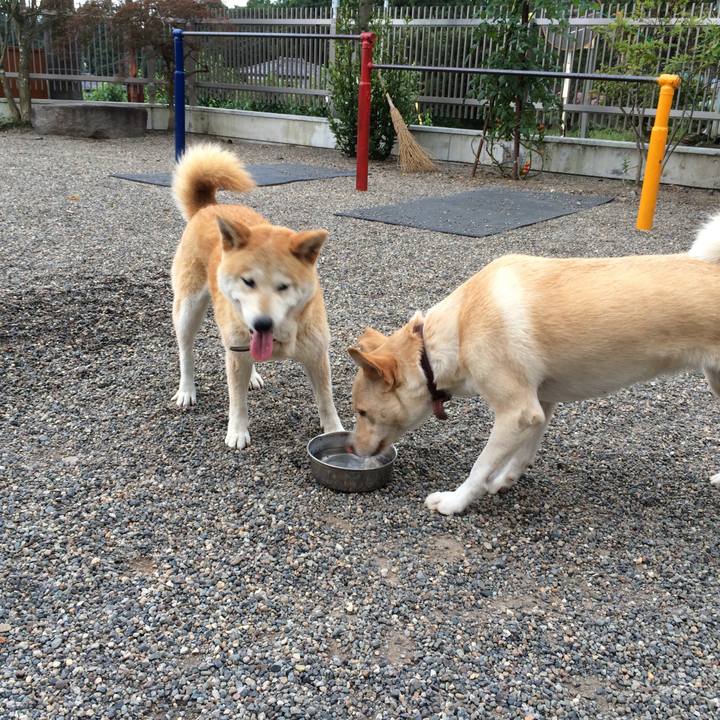 2bcede42 94cb 4cfa 9782 15a626f6278c