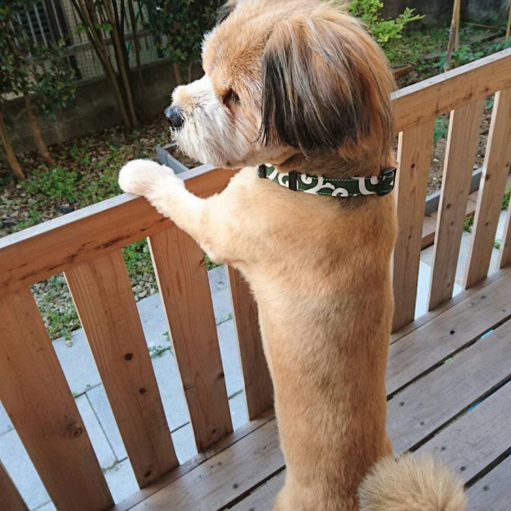 2bcefac5 2890 44ee b4b8 21a075cf228d