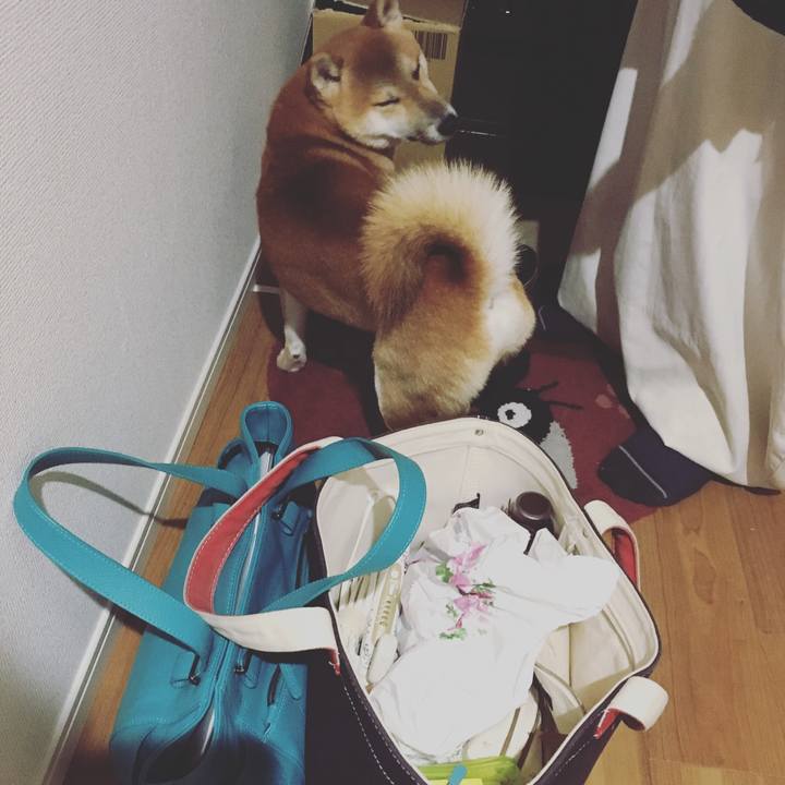 2bcf2540 b243 46eb b5ae f5d48b22b161