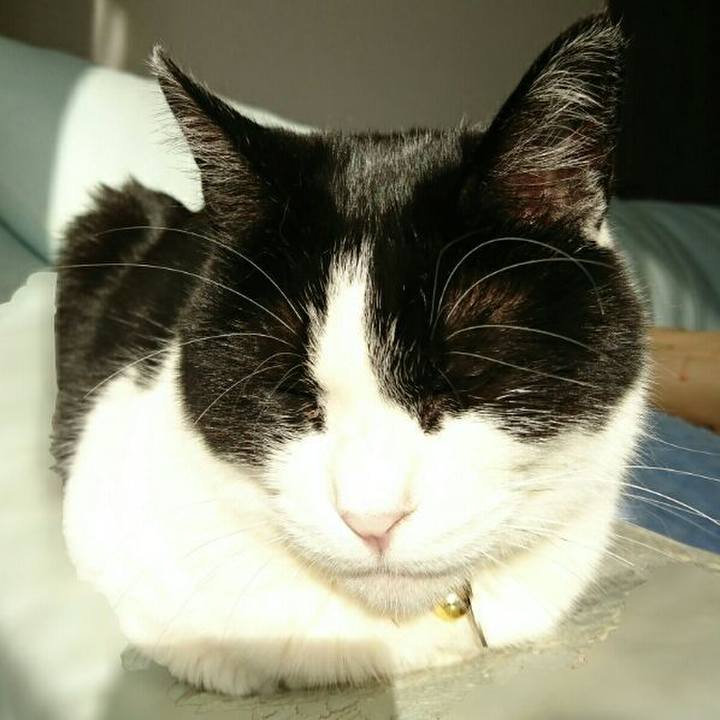 2bcf4da1 04a9 4213 be41 ab8dc79bf490