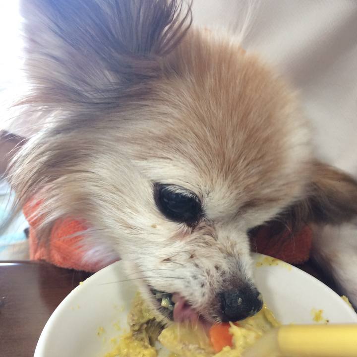 2bcf6885 6227 4bb3 b36e 4b5669760197