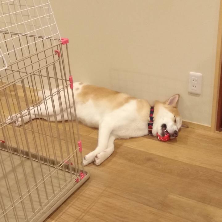 2bcf813c 943f 4083 91a1 59ee889437d4