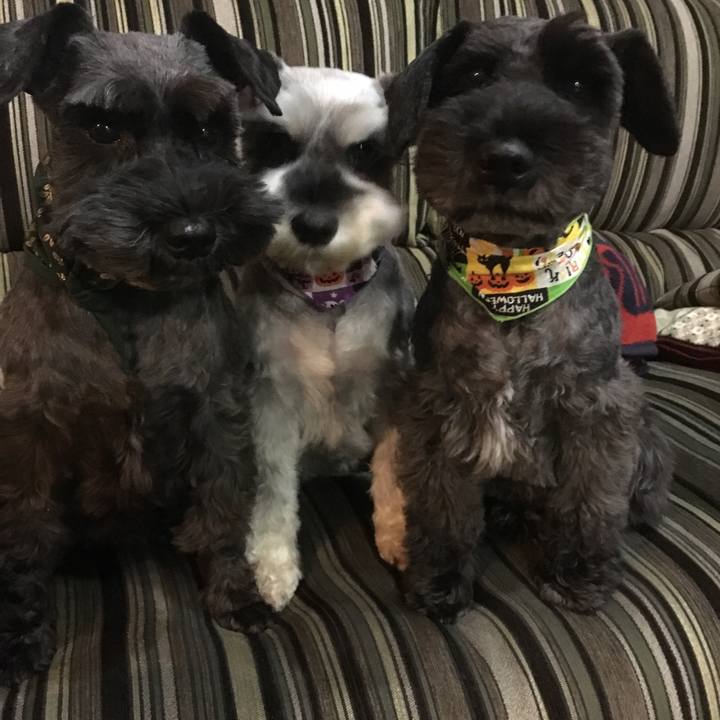 2bcf9b8b cddd 464c 8b81 573cdaab4b4a