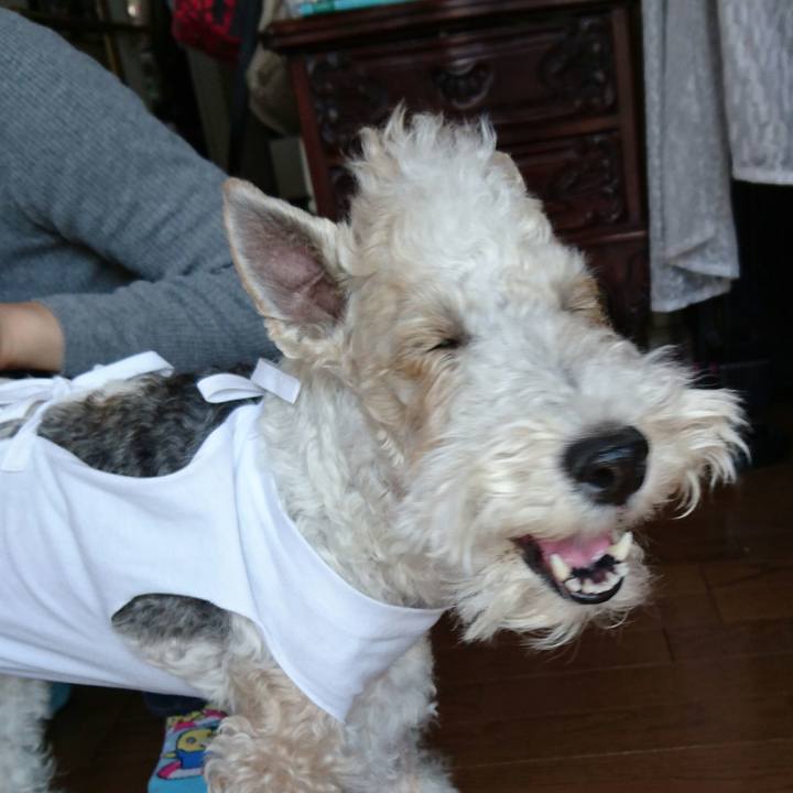 2bcfcded 041e 403d a0de 90143e569d06