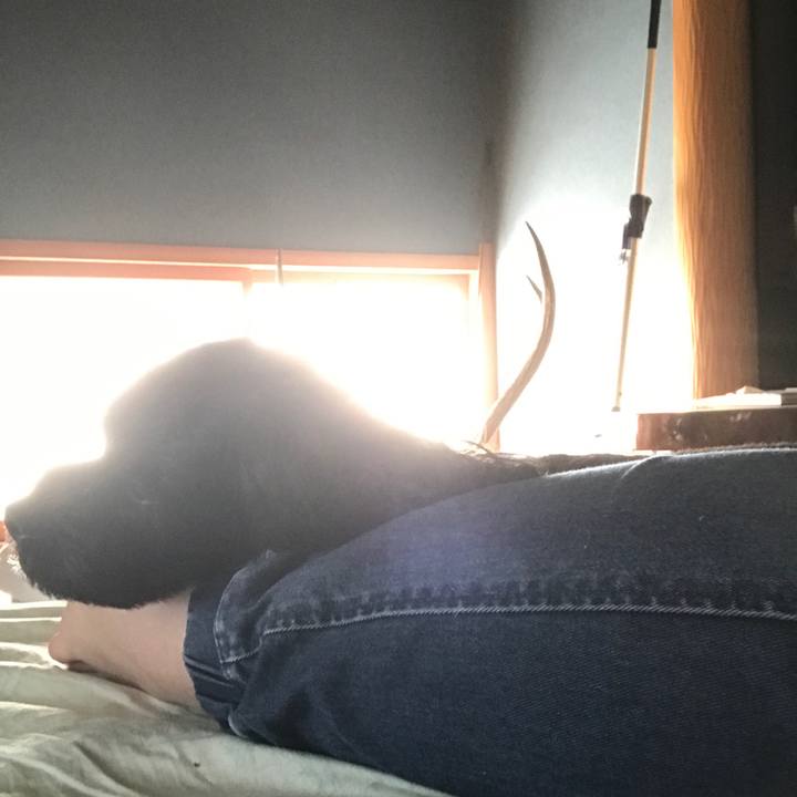 2bd0d969 ebb9 49d2 a646 b13ce7b77948