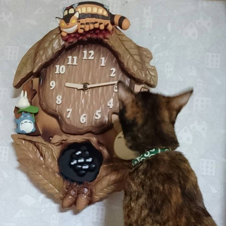 2bd156c7 e72f 41cf 902a 545960b616ee