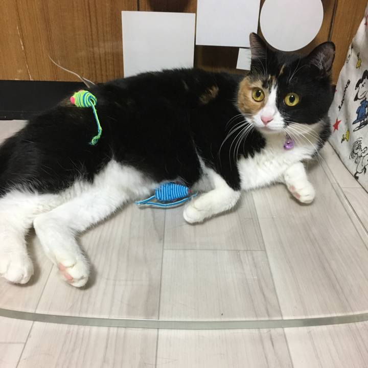 2bd15983 8e40 415e 85a6 0f855d15b23f