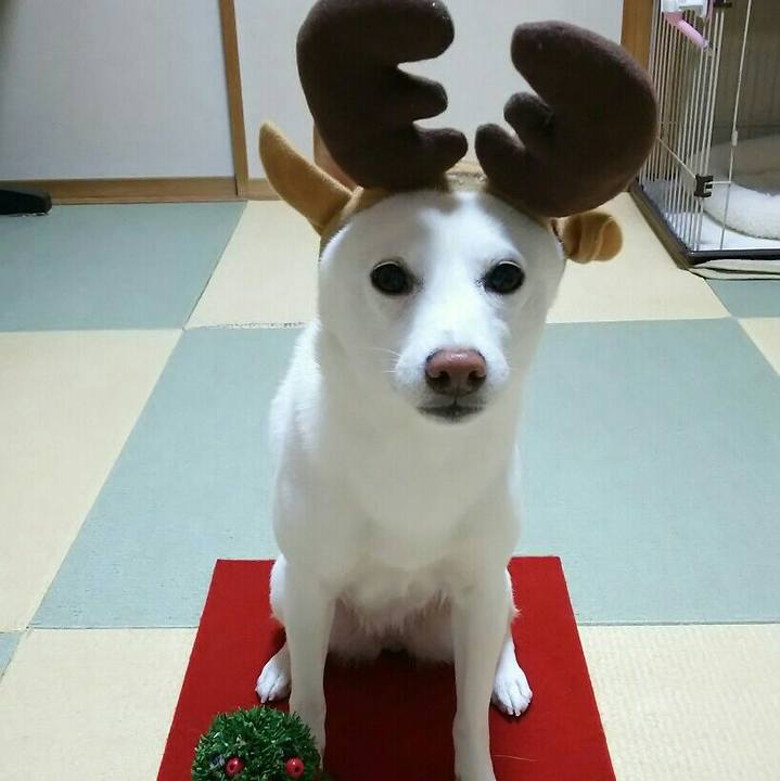 2bd18d30 4129 4c7e aef9 71c197915656