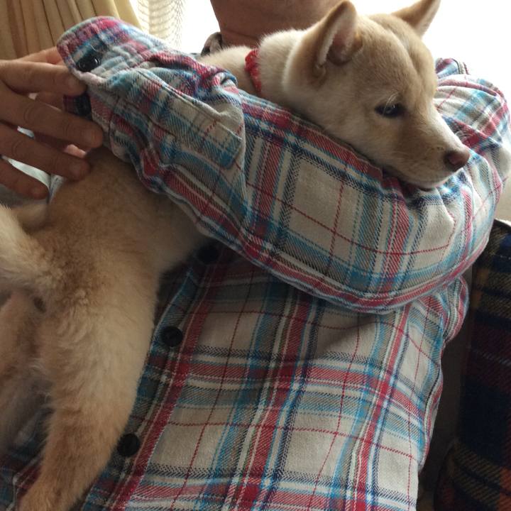 2bd1c0b2 4c5d 4d50 a887 410ddf8f48c0