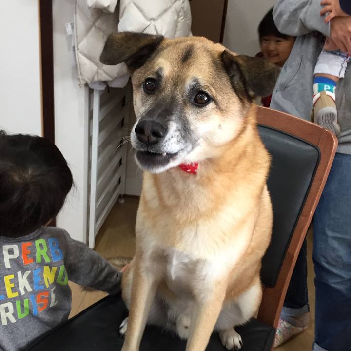 2bd1eb8e de6c 4d1a 8b4f 75bcf9abb75b