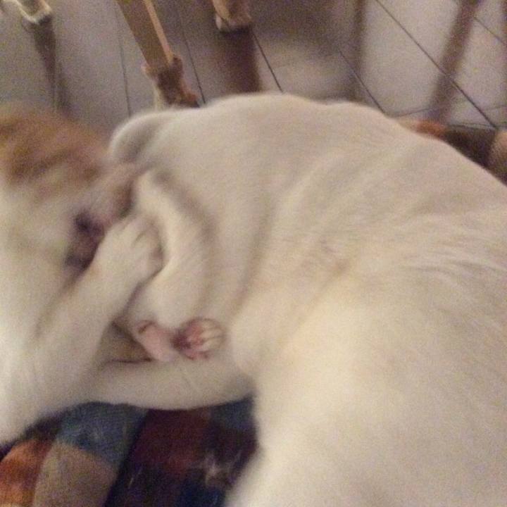 2bd21cf9 4ae3 4836 8f0c c4e35d92da62