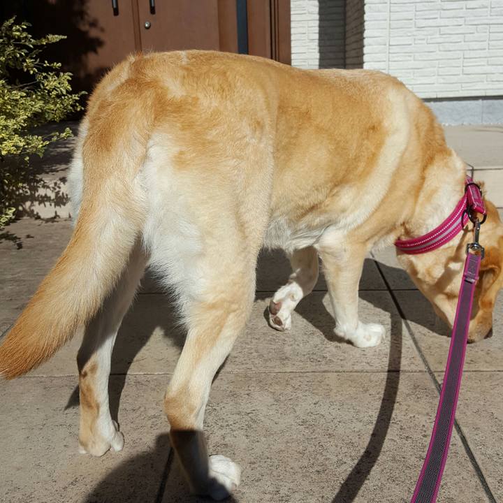 2bd22348 85e2 4358 8f93 c706607521b7